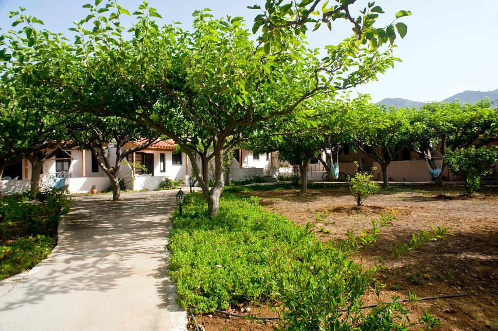 Dolphin Apartments Frangokastello Exterior foto