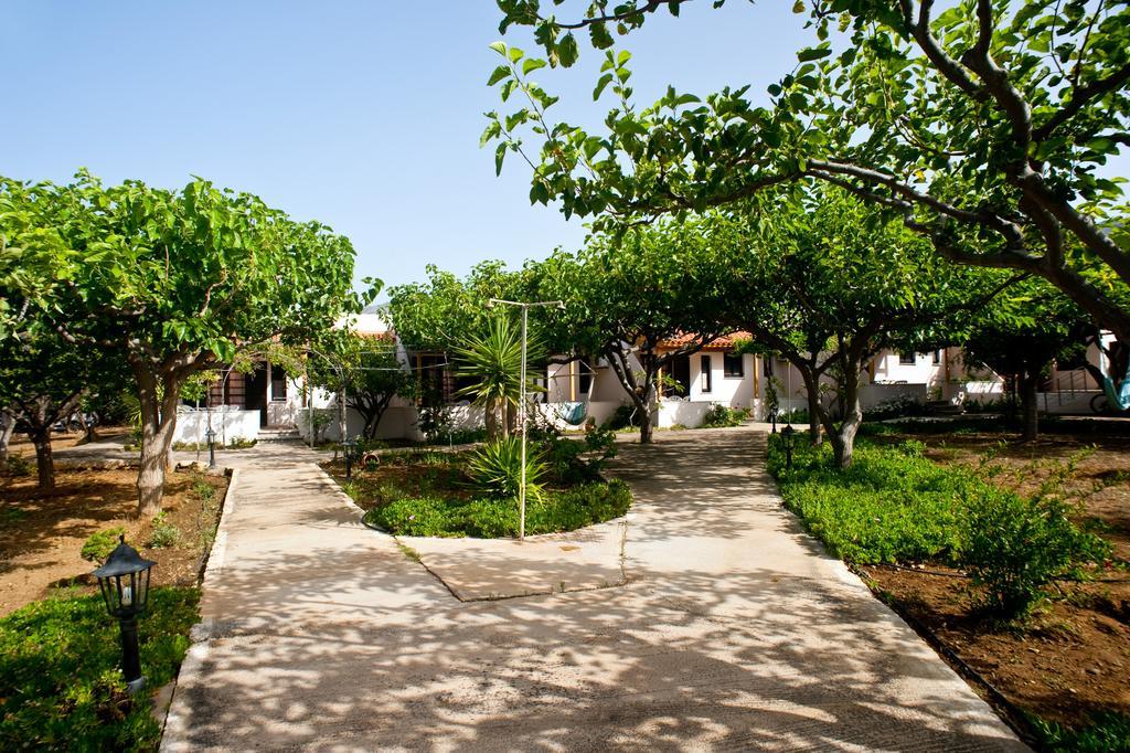 Dolphin Apartments Frangokastello Exterior foto